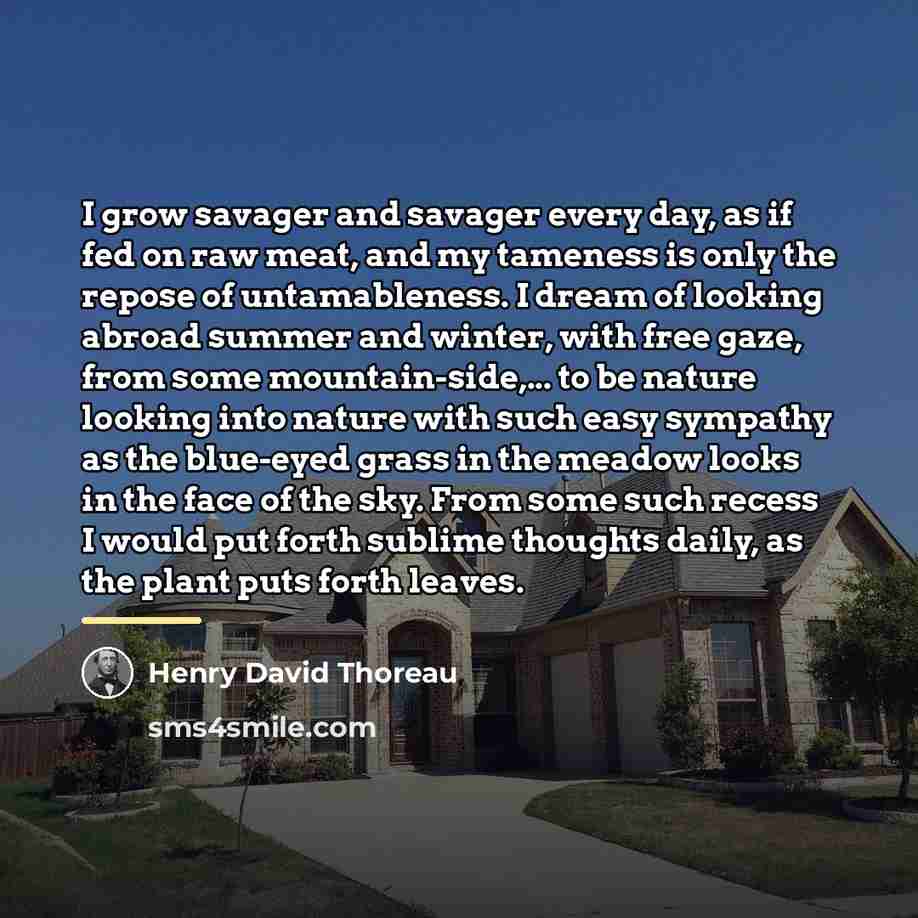 “I grow savager and savager every day, as if fed…” quote by Henry David Thoreau