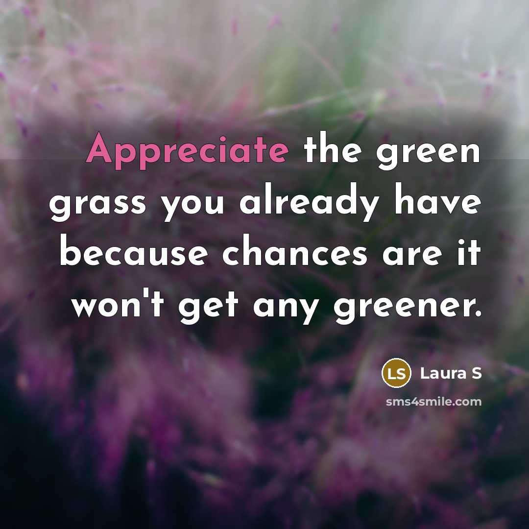 “Appreciate the green grass you already have because chances are…” quote by Laura S