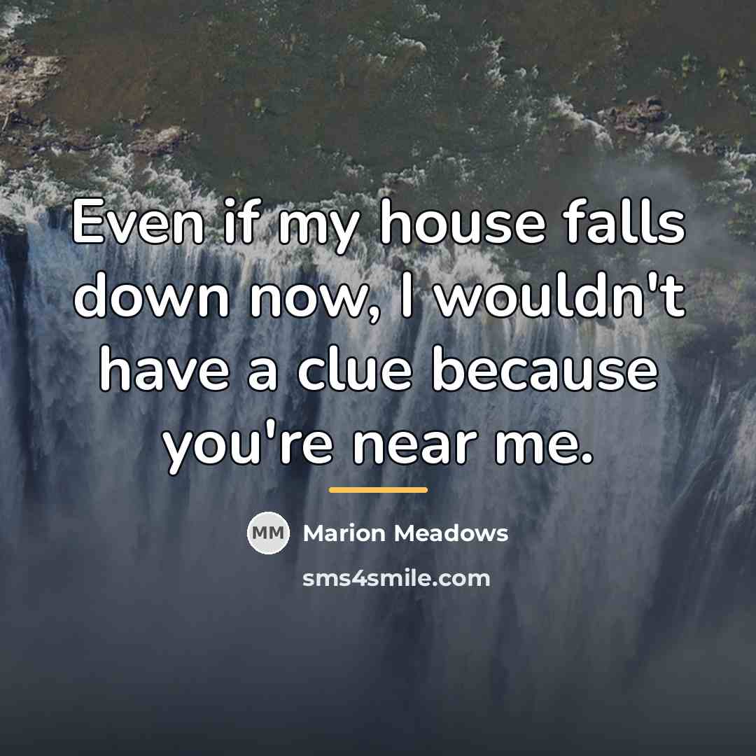 “Even if my house falls down now, I wouldn't have…” quote by Marion Meadows