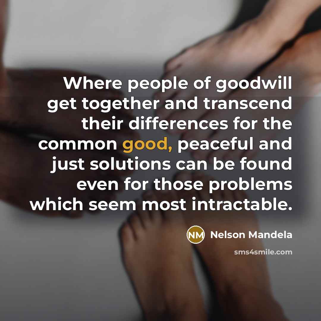 “Where people of goodwill get together and transcend their differences…” quote by Nelson Mandela