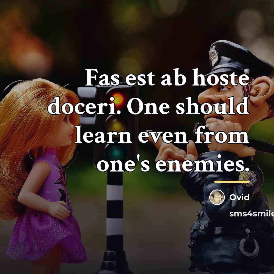 “Fas est ab hoste doceri. One should learn even from…” quote by Ovid