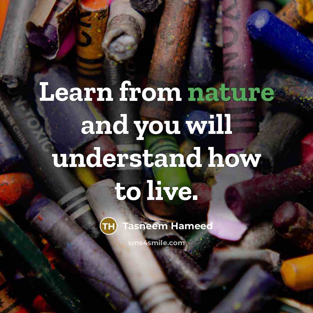 “Learn from nature and you will understand how to live.…” quote by Tasneem Hameed