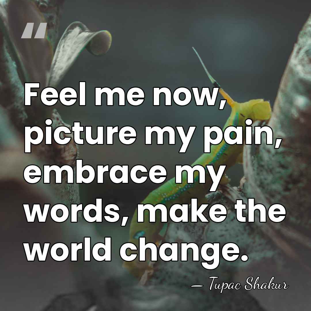 Feel me now, picture my pain, embrace my words, make the world&hellip; - Tupac Shakur