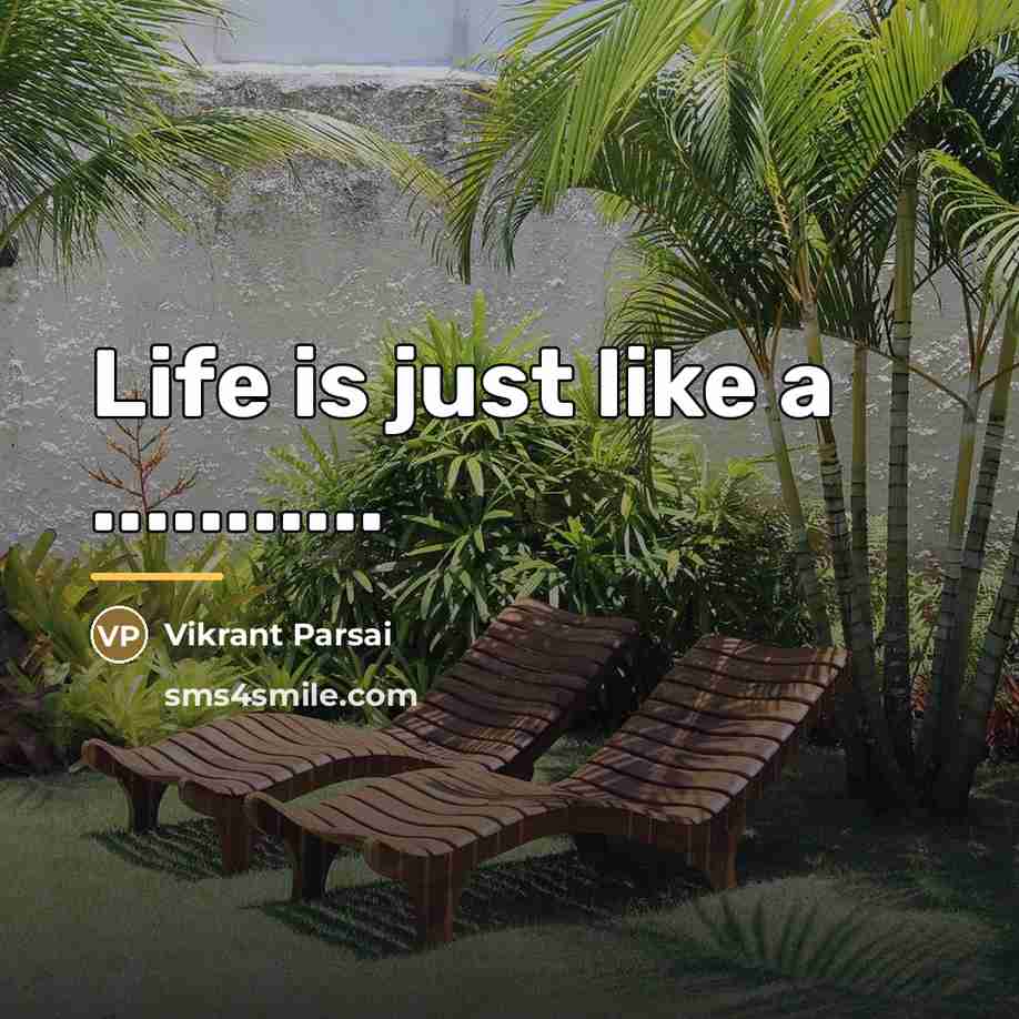 “Life is just like a ...........…” quote by Vikrant Parsai