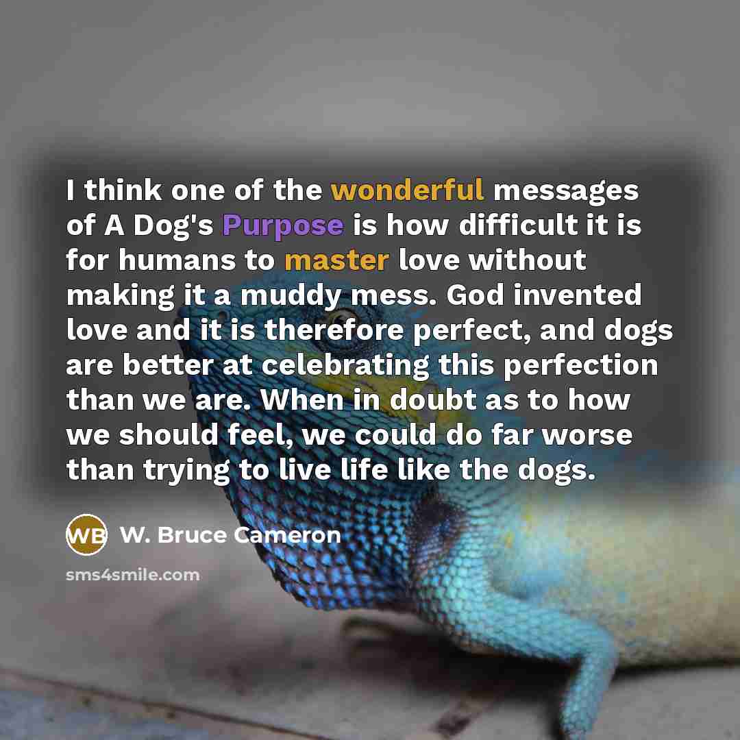 “I think one of the wonderful messages of A Dog's Purpose is how difficult it is for humans to master love without making it a muddy mess. God invented love and it is therefore perfect, and dogs are better at celebrating this perfection than we are. When in doubt as to how we should feel, we could…” quote by W. Bruce Cameron