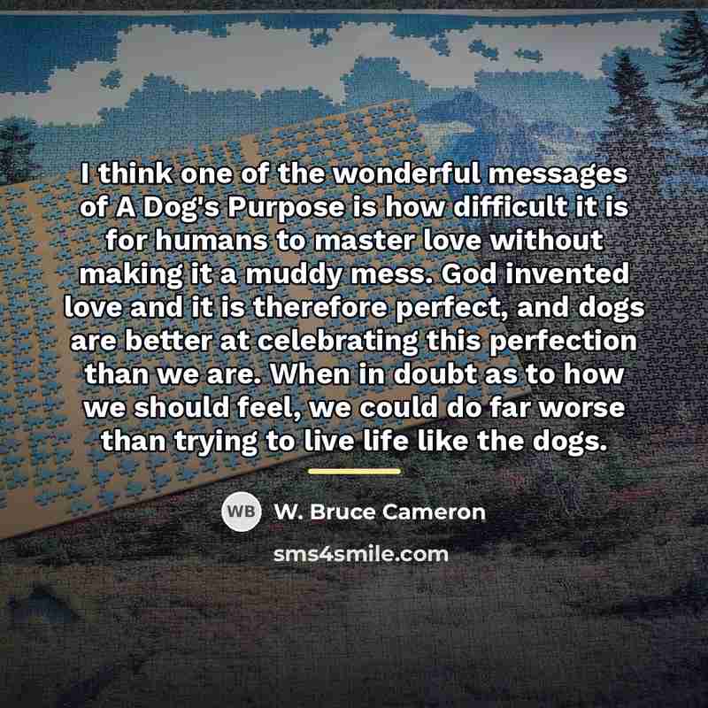 “I think one of the wonderful messages of A Dog's…” quote by W. Bruce Cameron