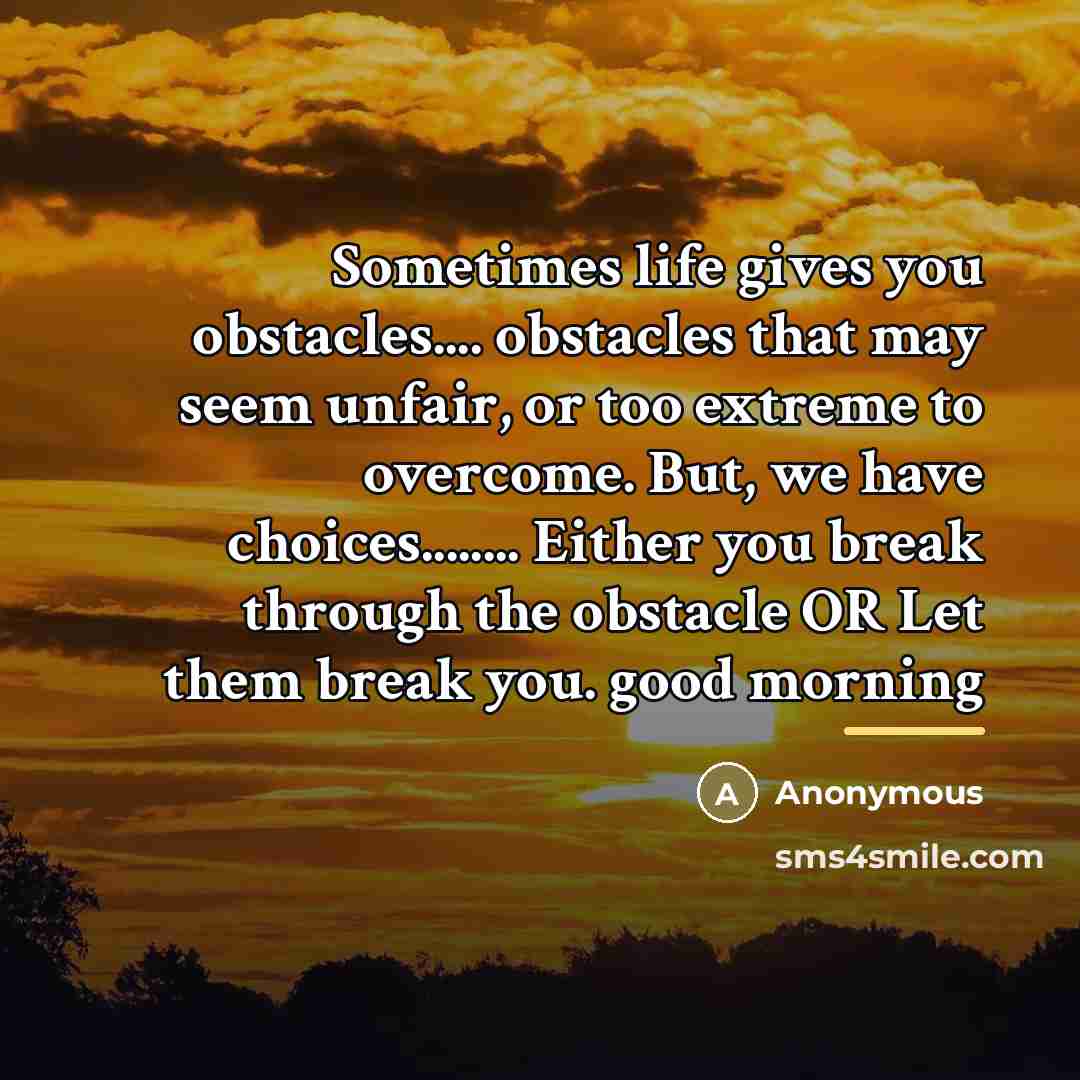 “Sometimes life gives you obstacles.... obstacles that may seem unfair,…” quote by Anonymous