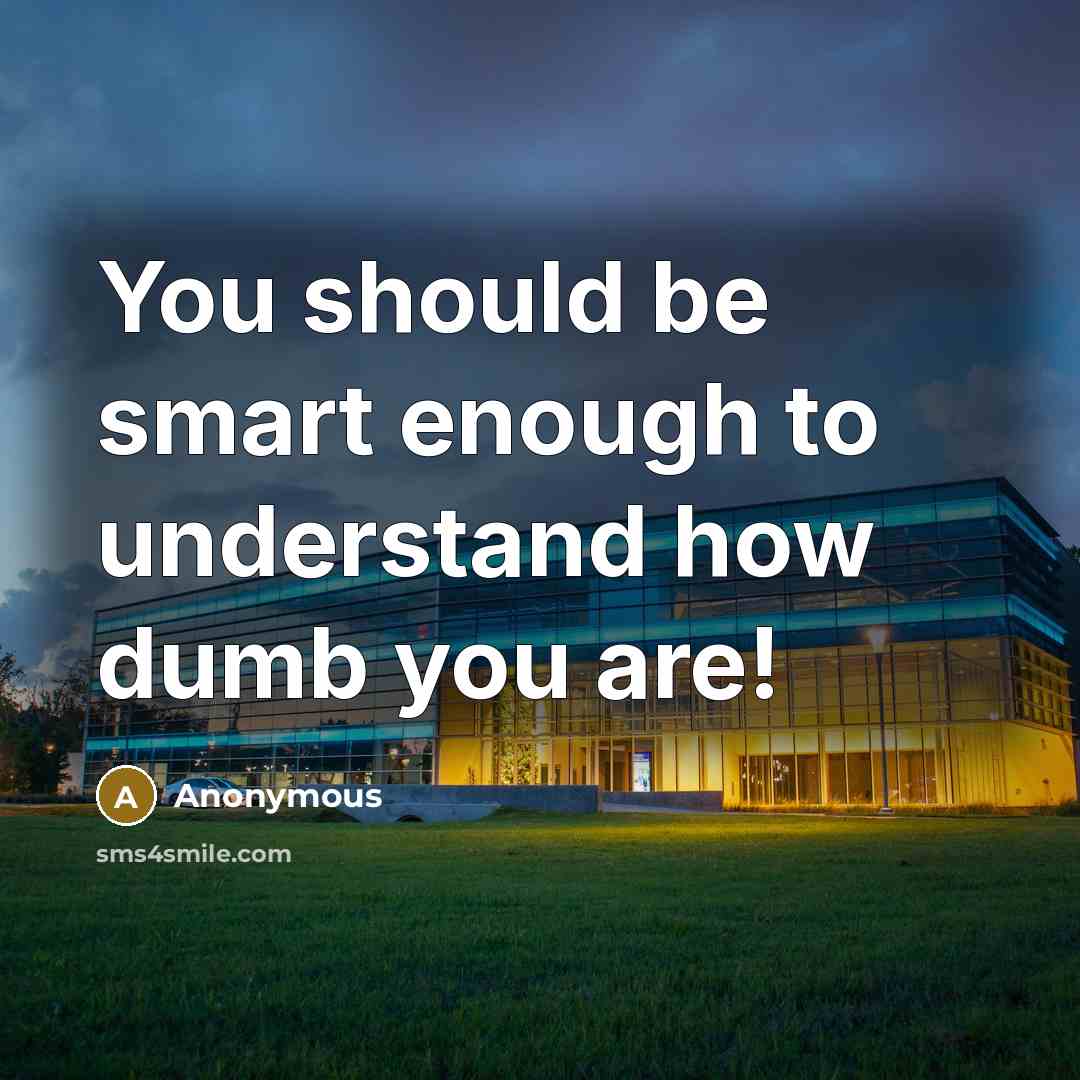 “You should be smart enough to understand how dumb you are!” quote by Anonymous