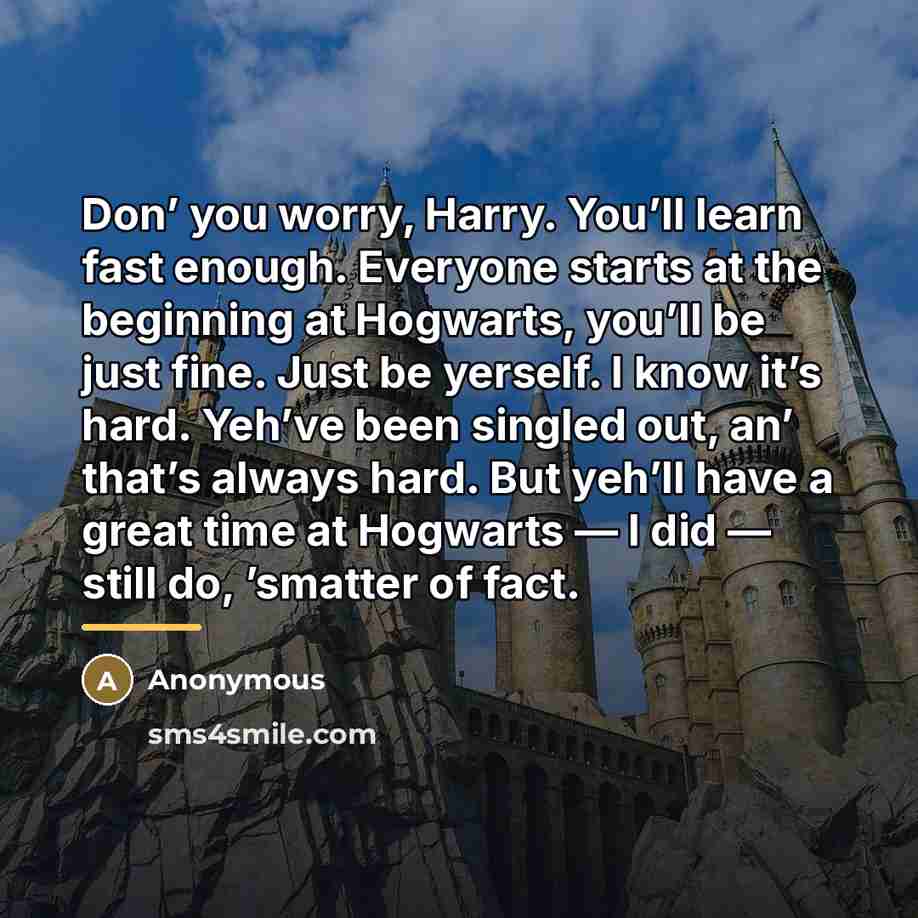 “Don’ you worry, Harry. You’ll learn fast enough. Everyone starts…” quote by Anonymous