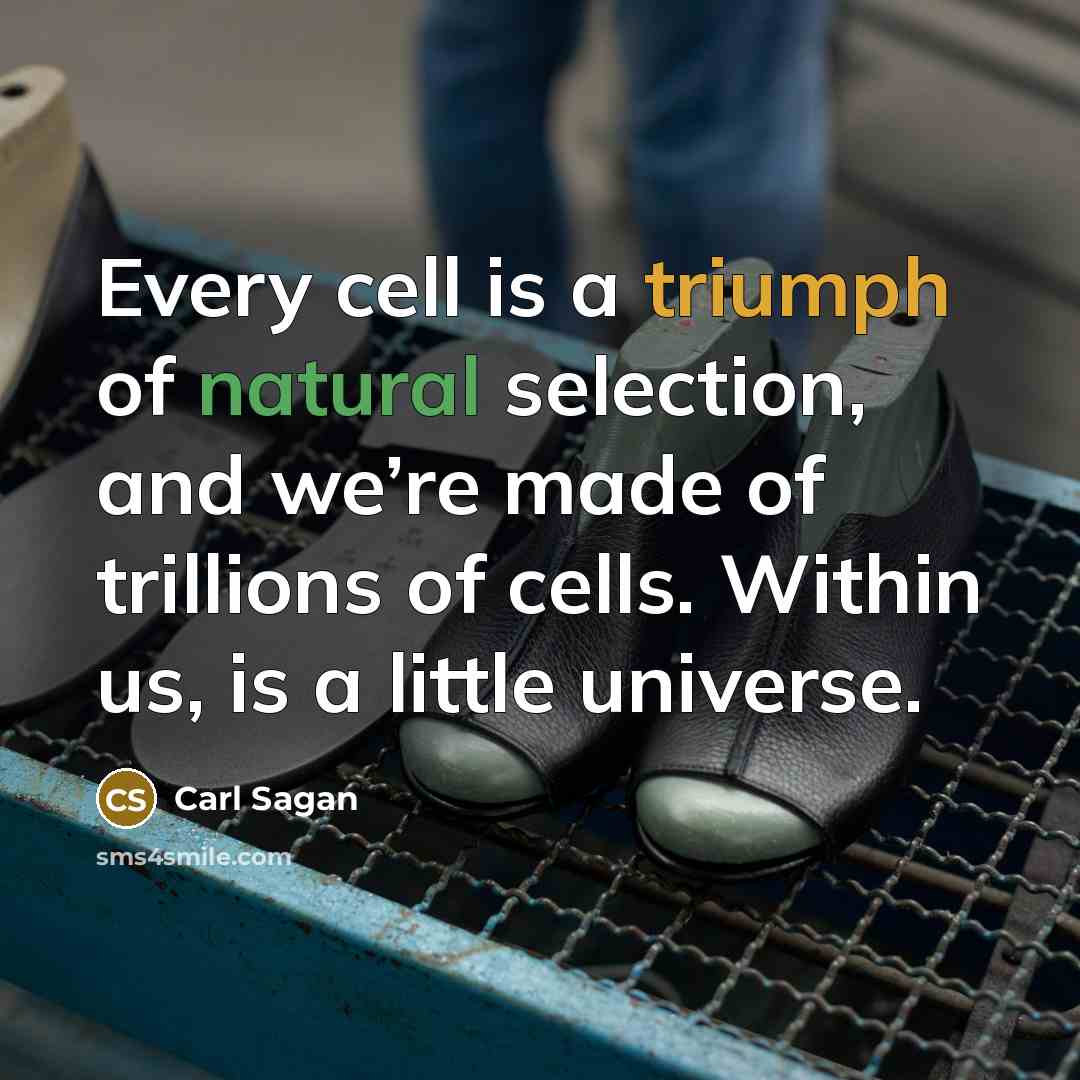 “Every cell is a triumph of natural selection, and we’re…” quote by Carl Sagan