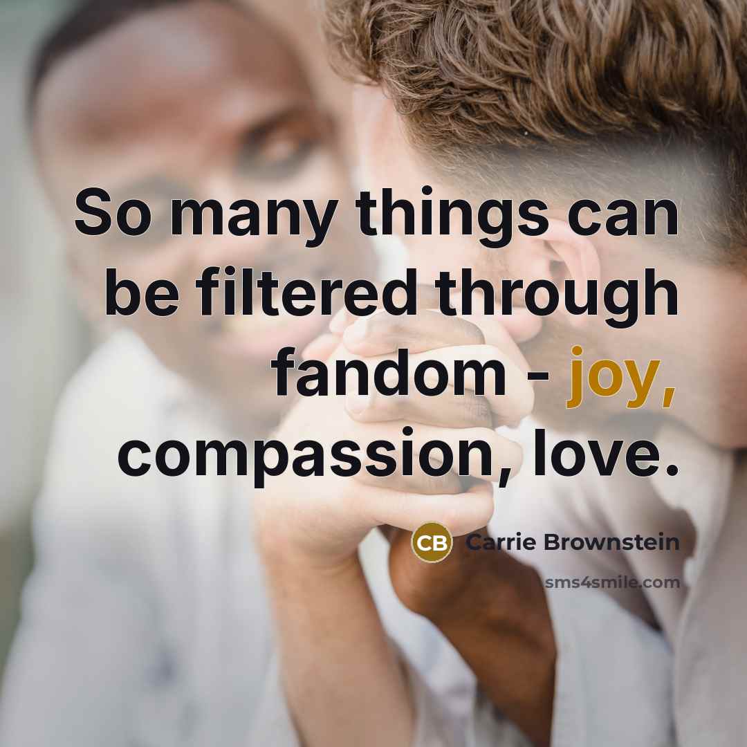 “So many things can be filtered through fandom - joy,…” quote by Carrie Brownstein