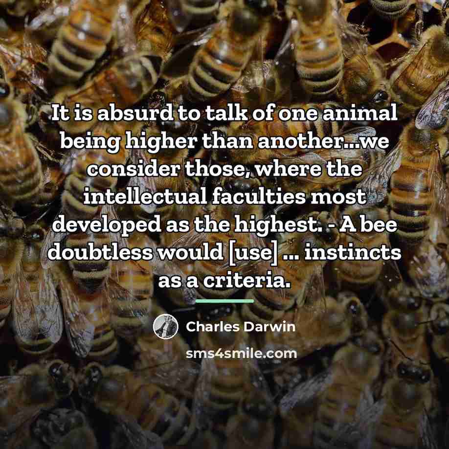 “It is absurd to talk of one animal being higher…” quote by Charles Darwin