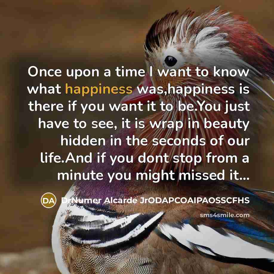 “Once upon a time I want to know what happiness…” quote by DrNumer Alcarde JrODAPCOAIPAOSSCFHS