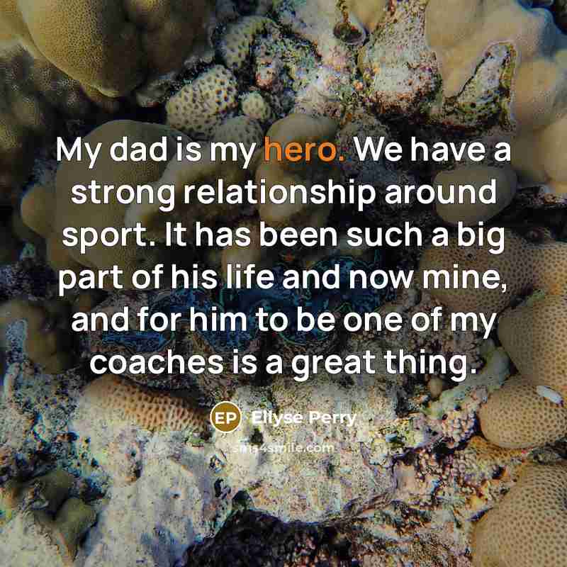 “My dad is my hero. We have a strong relationship…” quote by Ellyse Perry