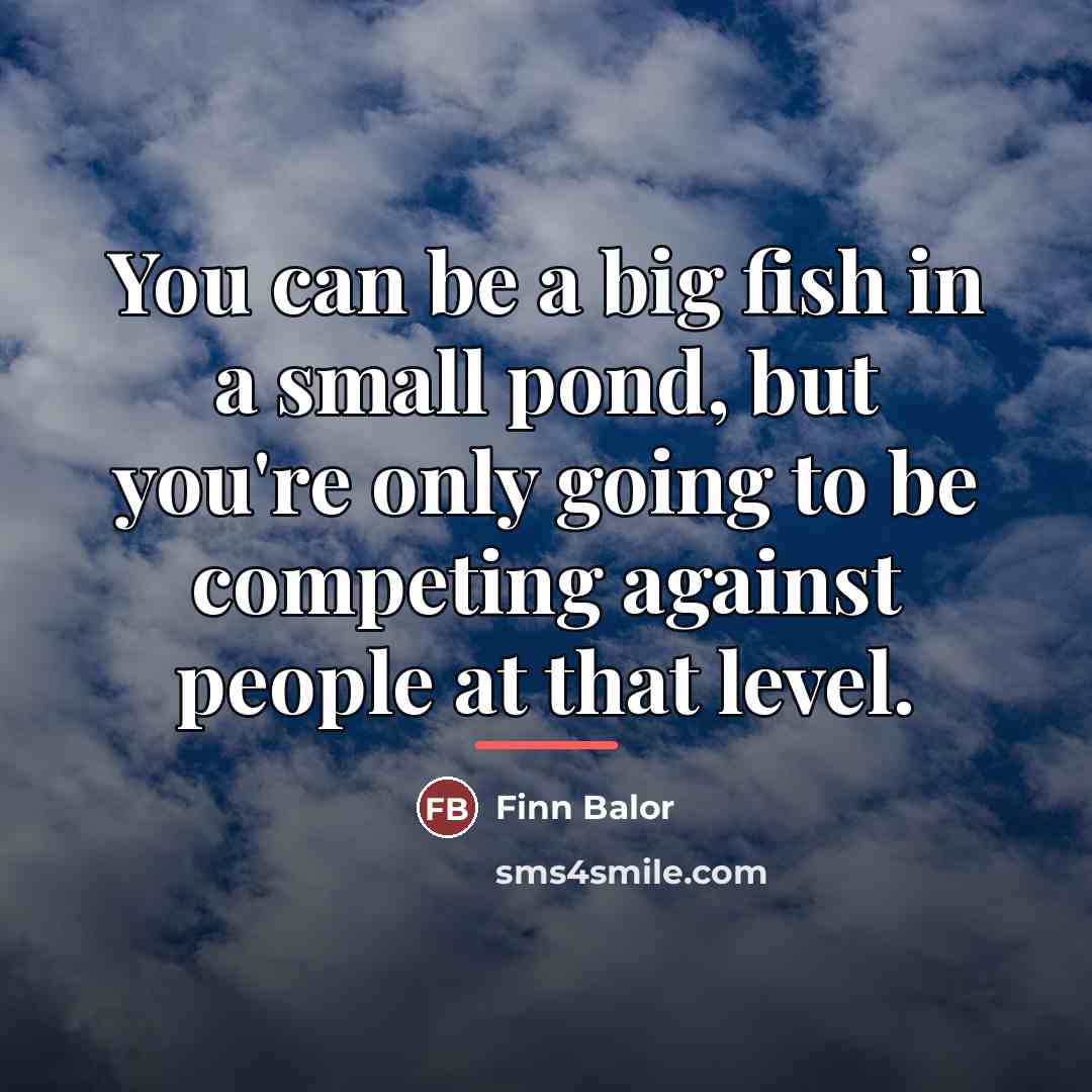 “You can be a big fish in a small pond,…” quote by Finn Balor