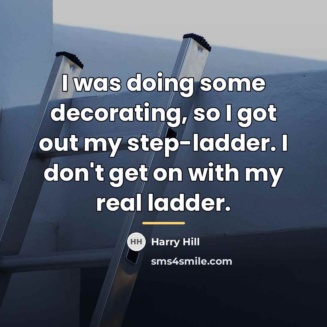 “I was doing some decorating, so I got out my…” quote by Harry Hill