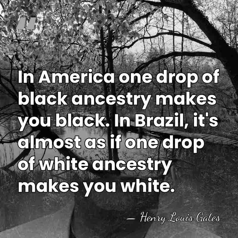 In America one drop of black ancestry makes you black. In Brazil,&hellip; - Henry Louis Gates
