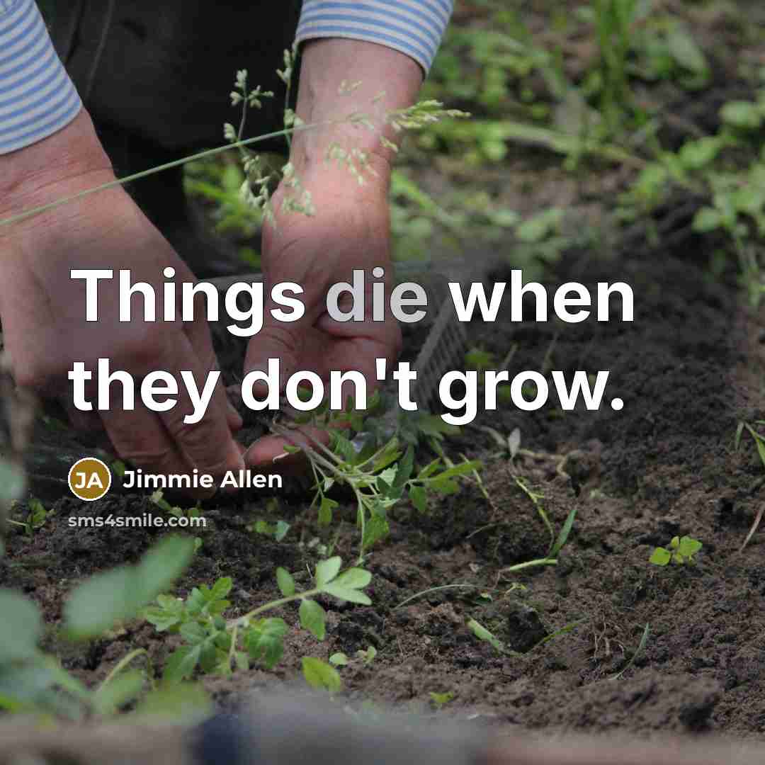 “Things die when they don't grow.…” quote by Jimmie Allen