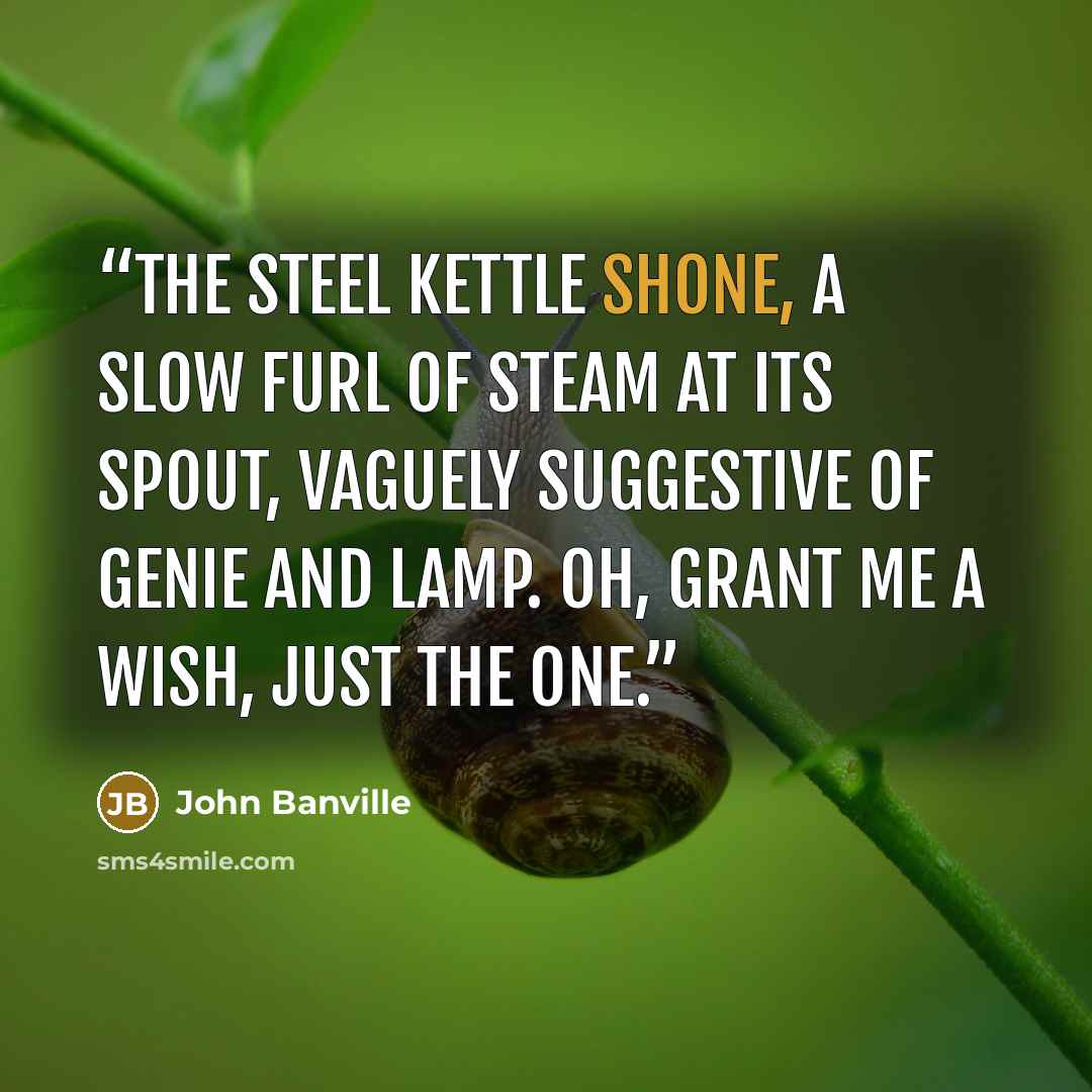 “The steel kettle shone, a slow furl of steam at its spout, vaguely suggestive of genie and lamp. Oh, grant me a wish, just the one.” quote by John Banville