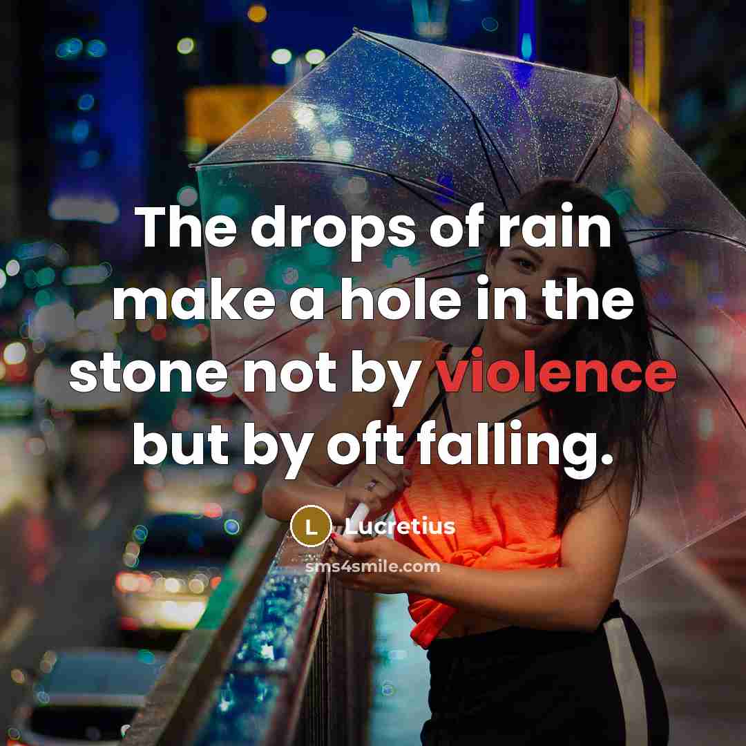 “The drops of rain make a hole in the stone…” quote by Lucretius