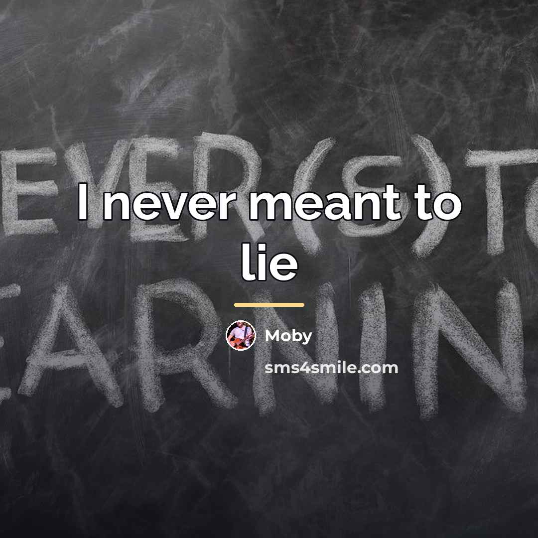 “I never meant to lie…” quote by Moby