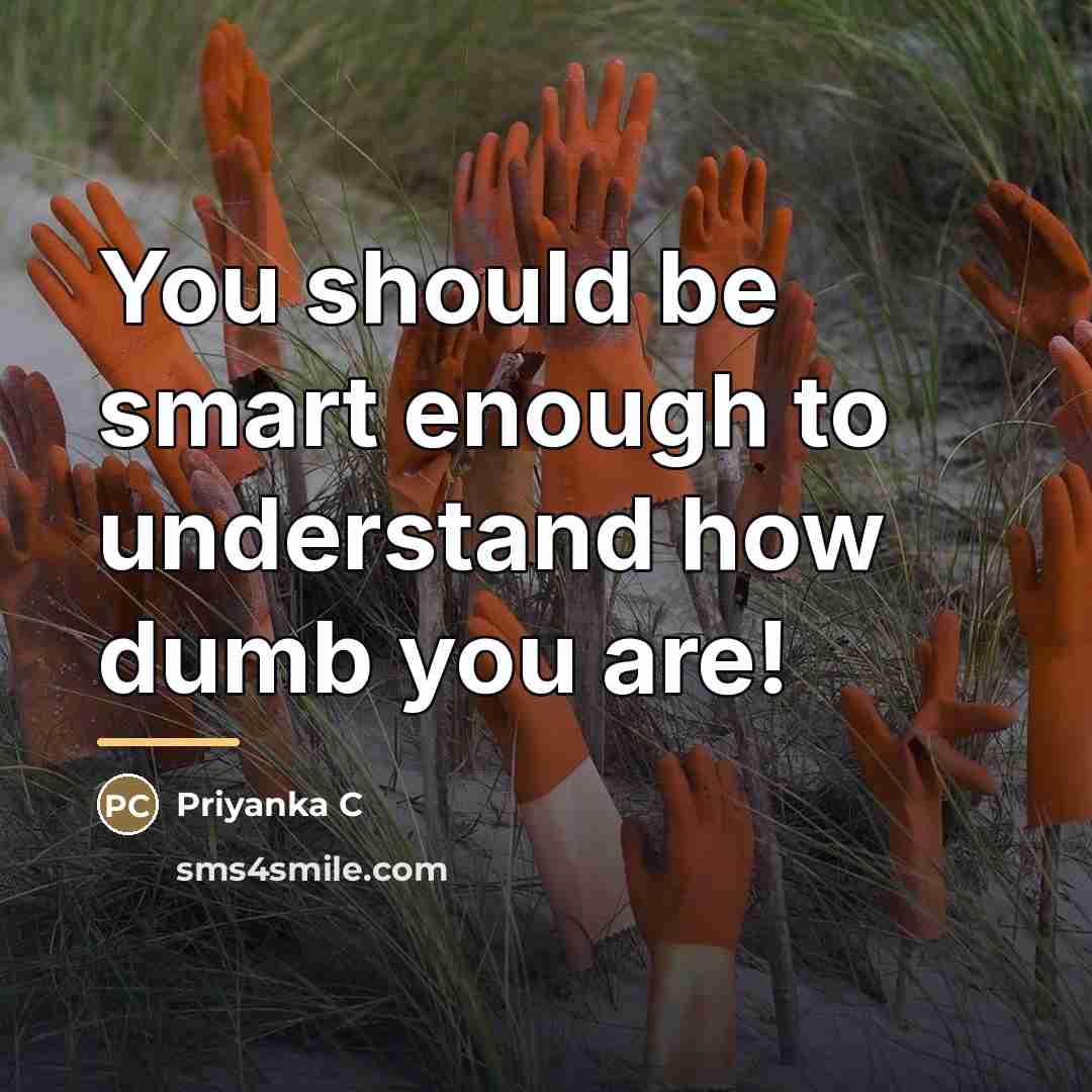 “You should be smart enough to understand how dumb you…” quote by Anonymous