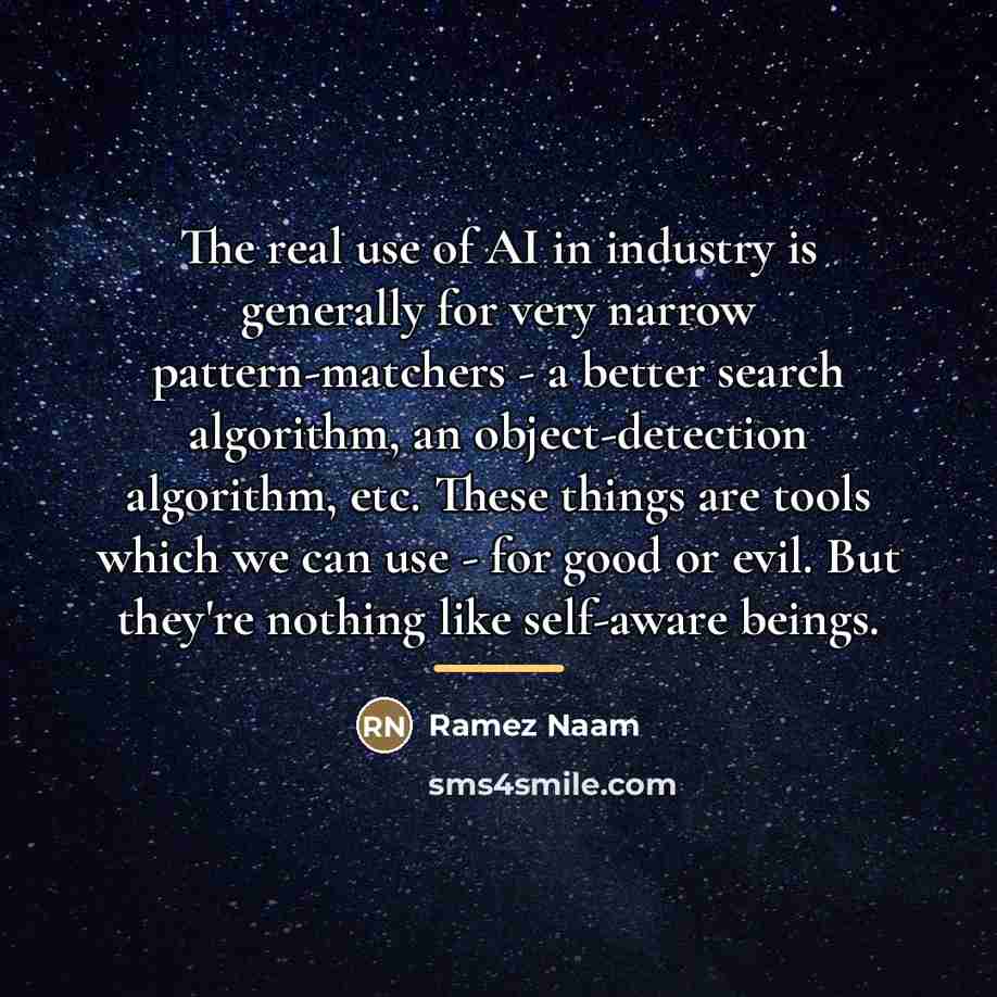 “The real use of AI in industry is generally for…” quote by Ramez Naam