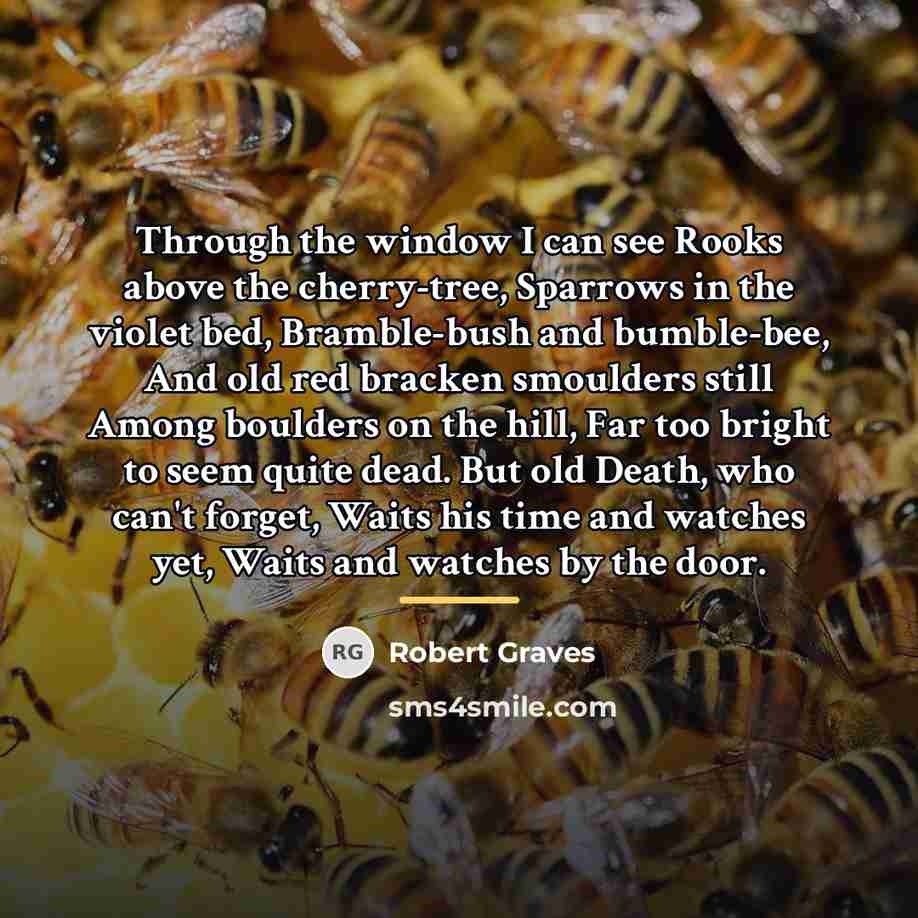 “Through the window I can see Rooks above the cherry-tree,…” quote by Robert Graves