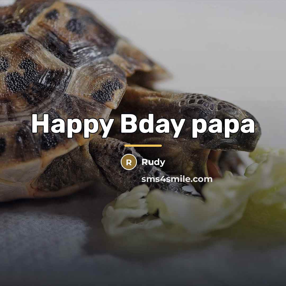 “Happy Bday papa…” quote by Rudy