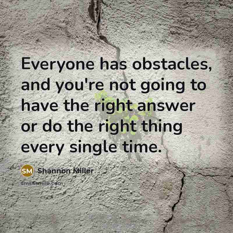 “Everyone has obstacles, and you're not going to have the…” quote by Shannon Miller
