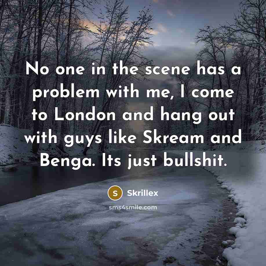 “No one in the scene has a problem with me,…” quote by Skrillex