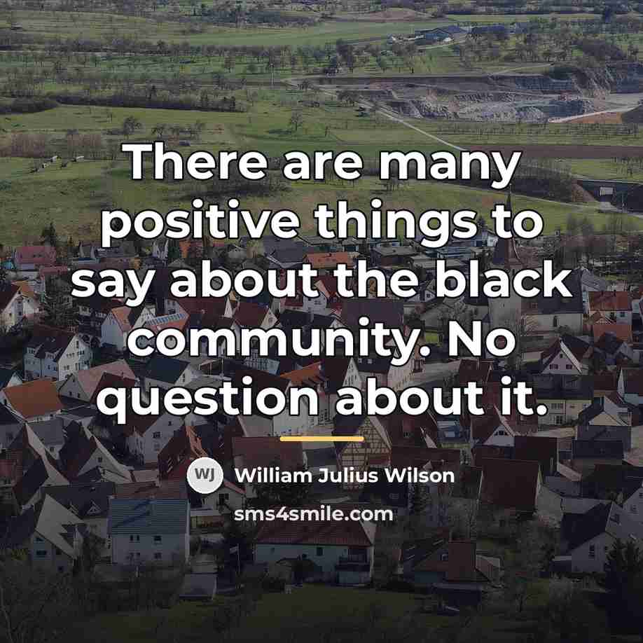 “There are many positive things to say about the black…” quote by William Julius Wilson