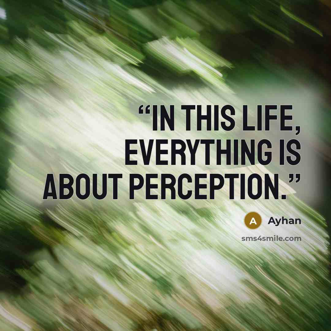 “In this life, everything is about perception.” quote by Ayhan