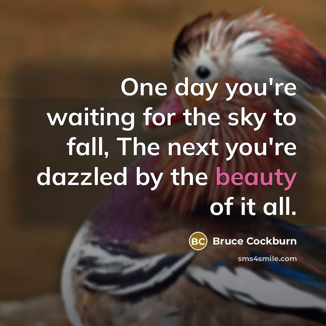 “One day you're waiting for the sky to fall, The…” quote by Bruce Cockburn
