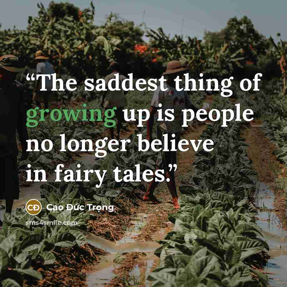 “The saddest thing of growing up is people no longer believe in fairy tales.” quote by Cao Đức Trọng
