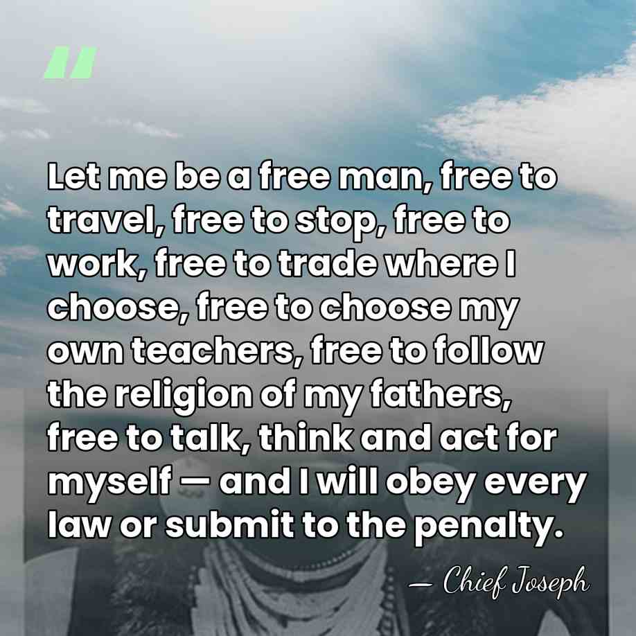 Let me be a free man, free to travel, free to stop,&hellip; - Chief Joseph