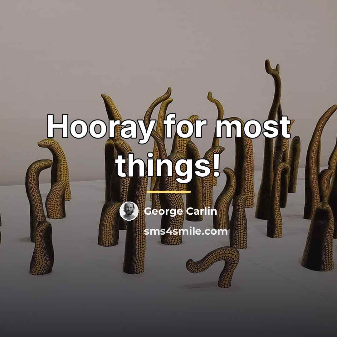 “Hooray for most things!…” quote by George Carlin