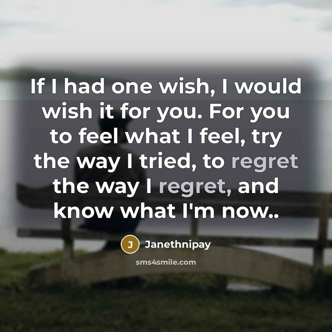 “If I had one wish, I would wish it for you. For you to feel what I feel, try the way I tried, to regret the way I regret, and know what I'm now..” quote by Janethnipay