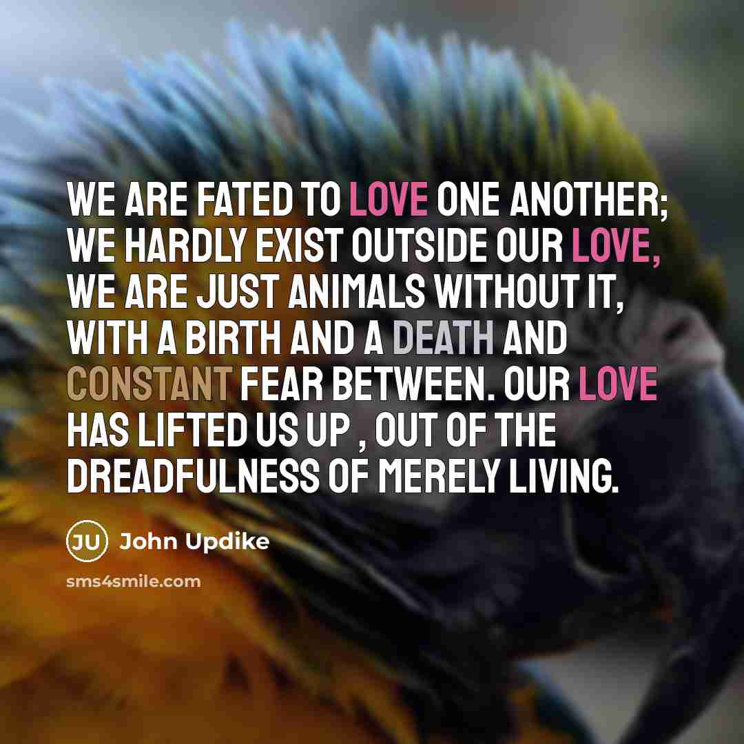 “We are fated to love one another; we hardly exist…” quote by John Updike