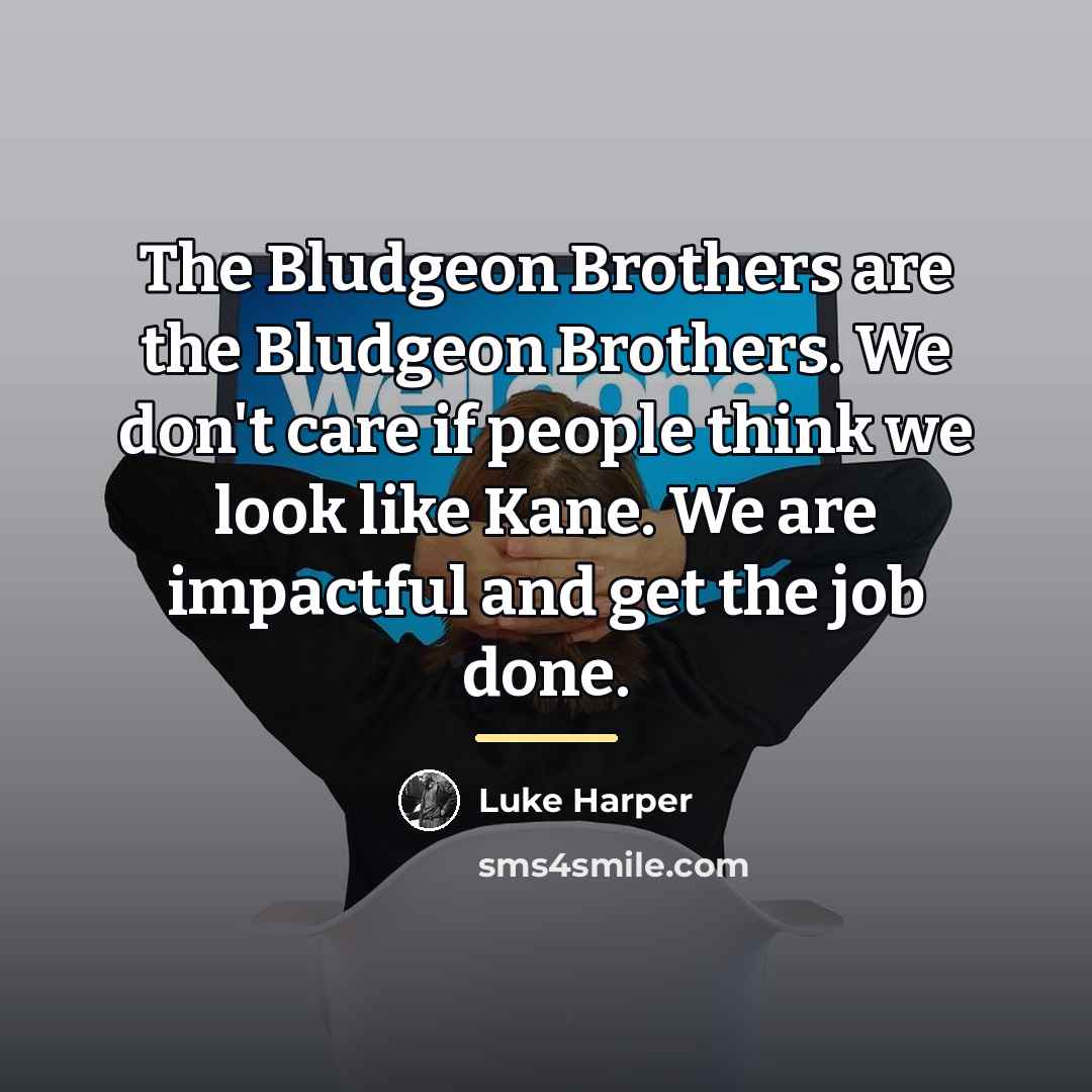 “The Bludgeon Brothers are the Bludgeon Brothers. We don't care…” quote by Luke Harper
