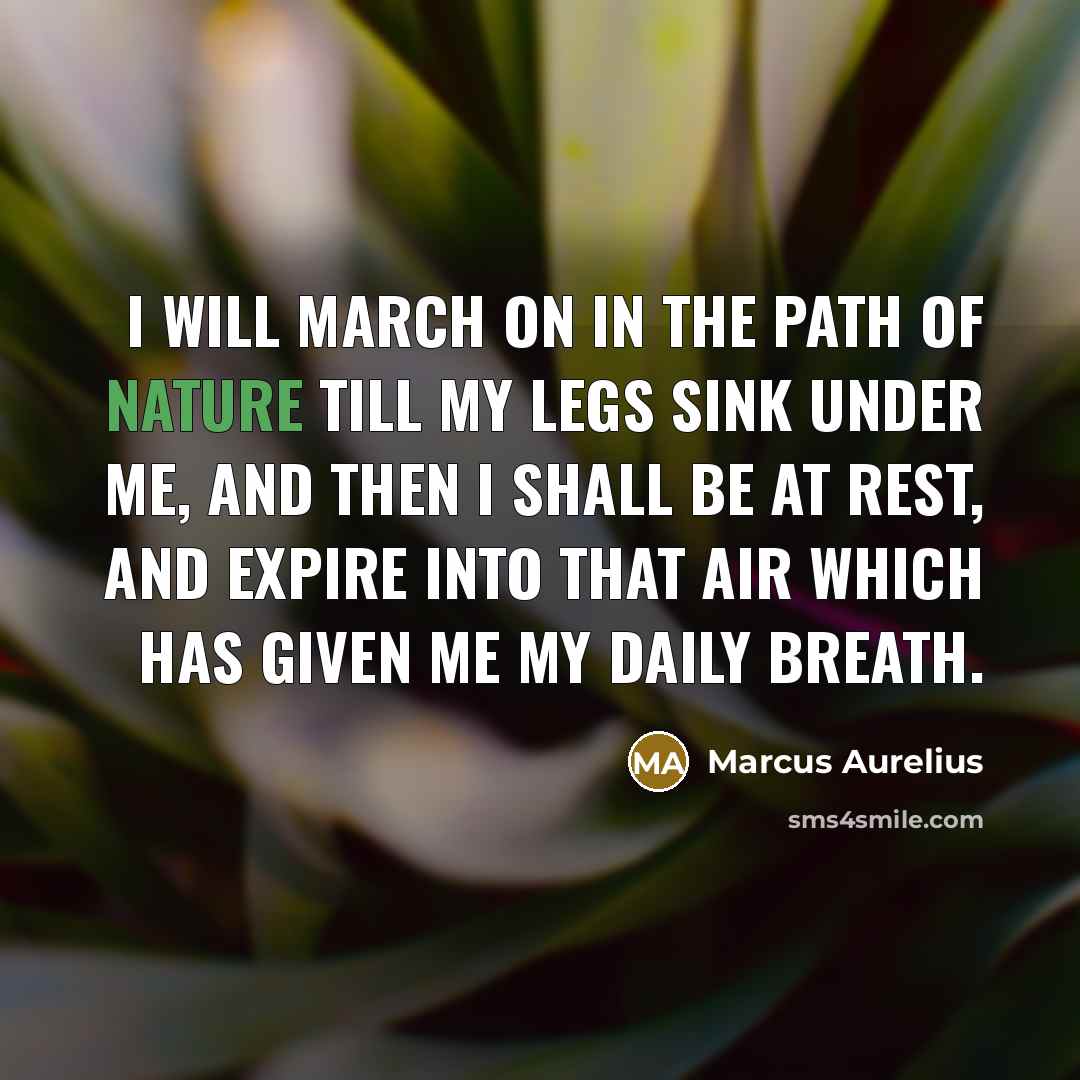“I will march on in the path of nature till…” quote by Marcus Aurelius