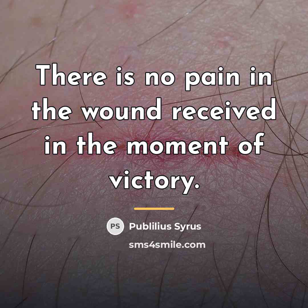 “There is no pain in the wound received in the…” quote by Publilius Syrus