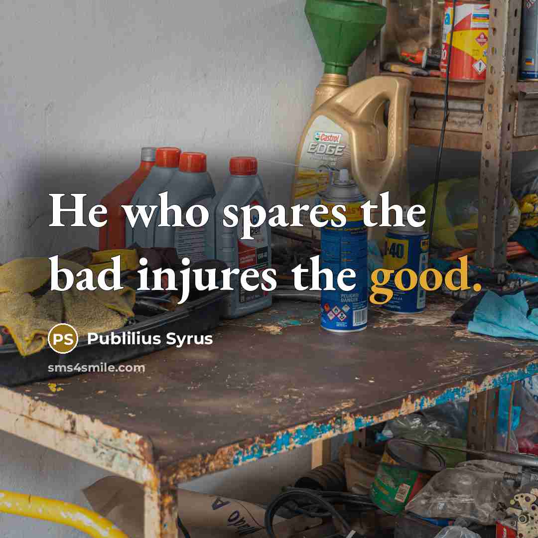 “He who spares the bad injures the good.…” quote by Publilius Syrus