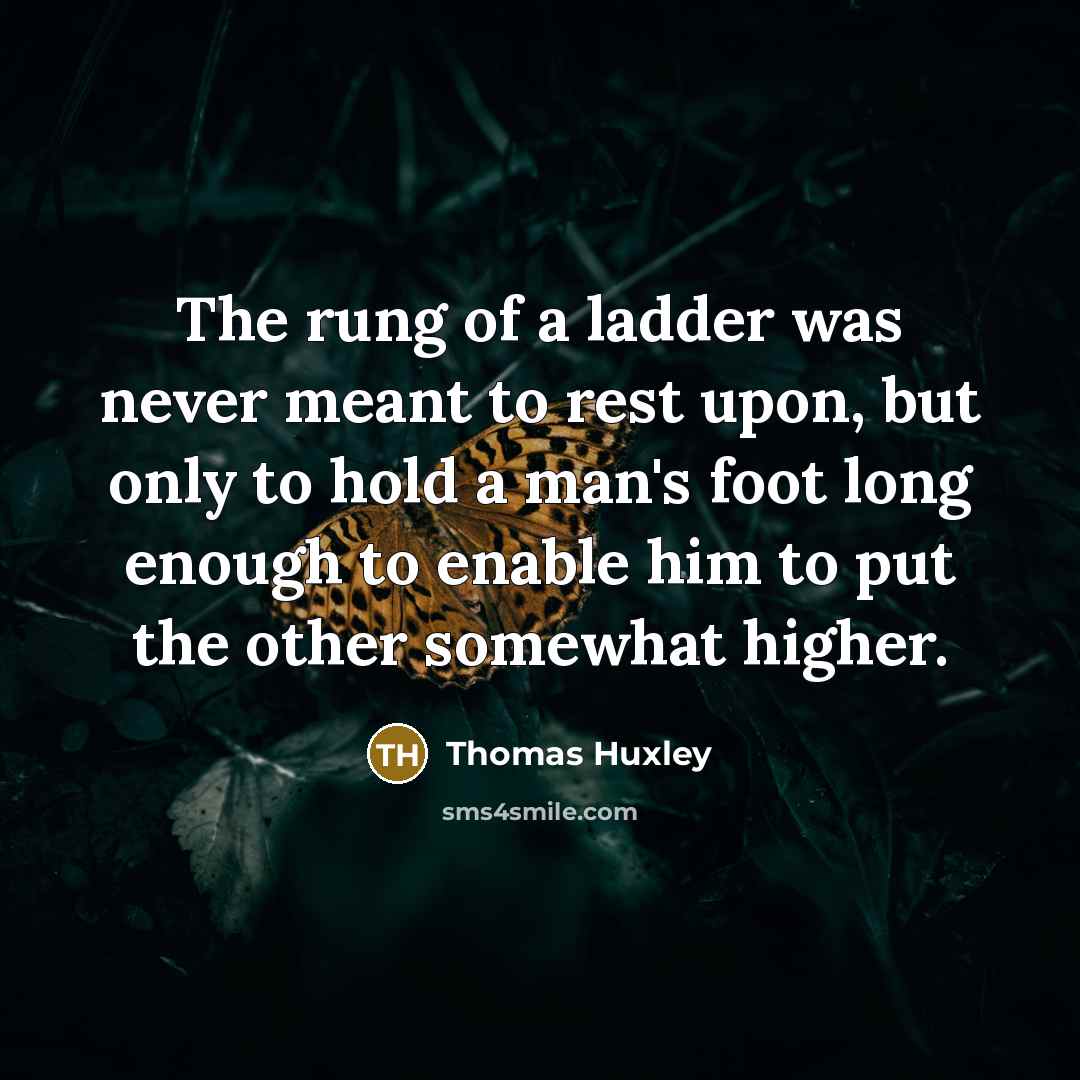 “The rung of a ladder was never meant to rest…” quote by Thomas Huxley