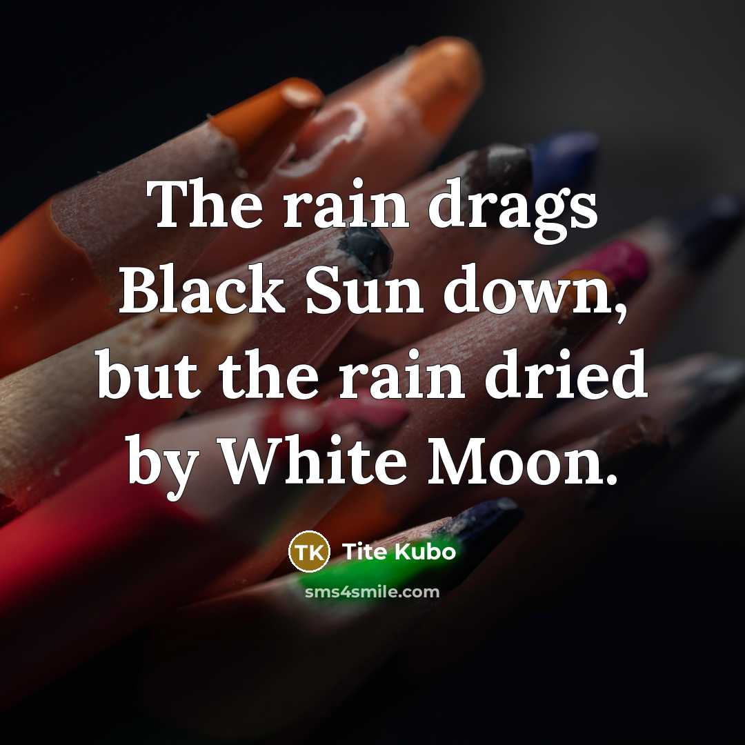 “The rain drags Black Sun down, but the rain dried…” quote by Tite Kubo