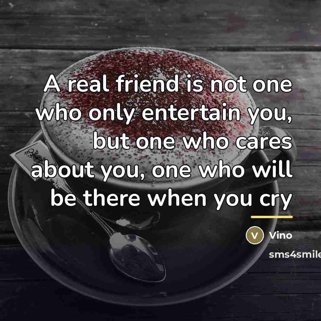 “A real friend is not one who only entertain you,…” quote by Vino