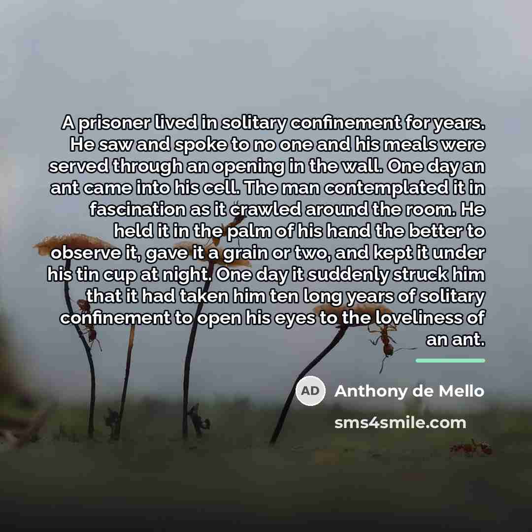 “A prisoner lived in solitary confinement for years. He saw…” quote by Anthony de Mello