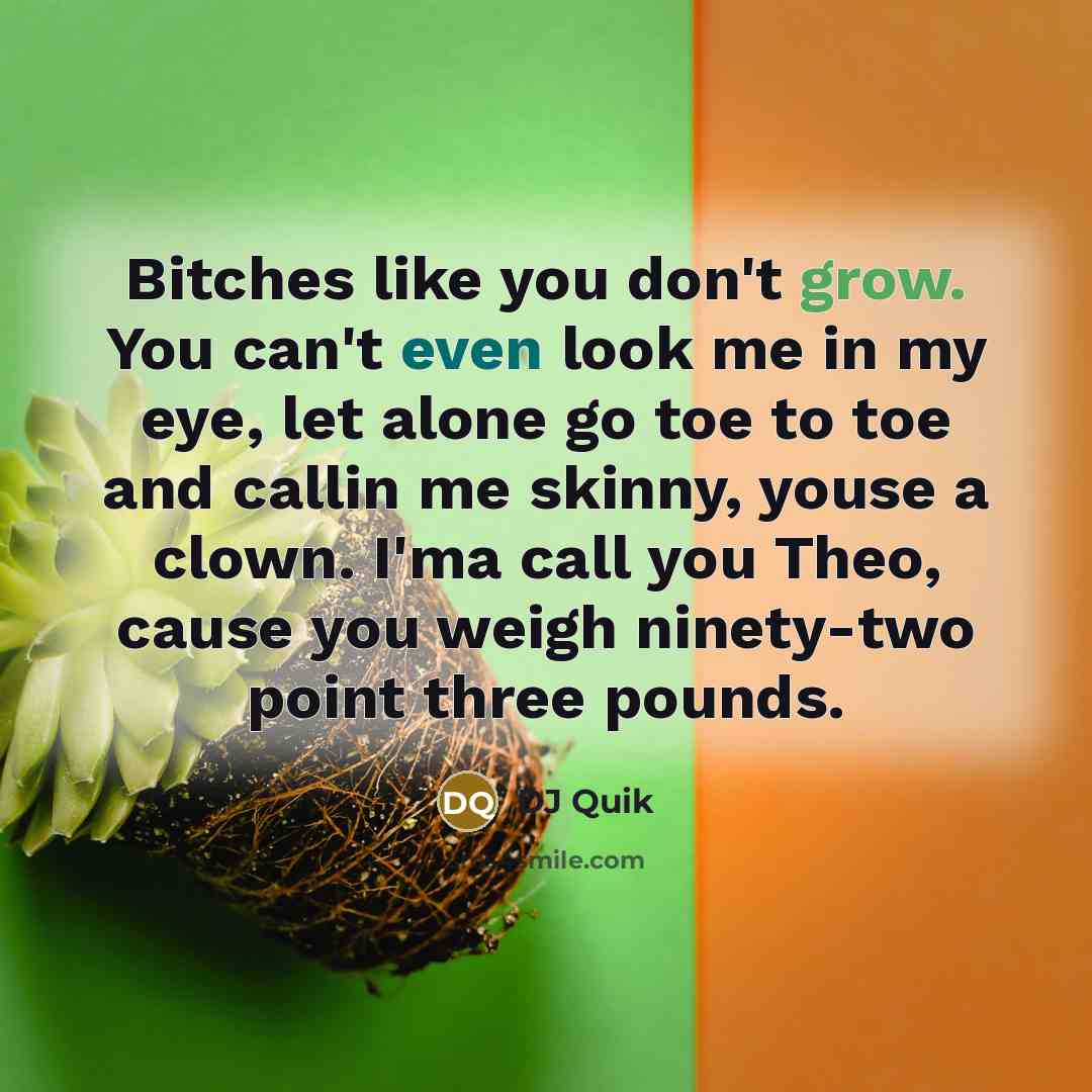 “Bitches like you don't grow. You can't even look me…” quote by DJ Quik