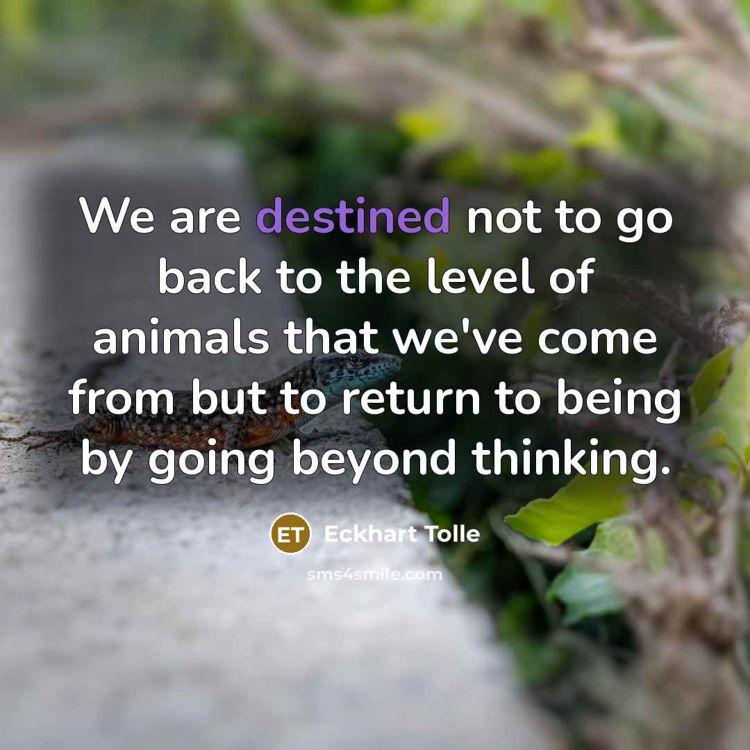 “We are destined not to go back to the level…” quote by Eckhart Tolle