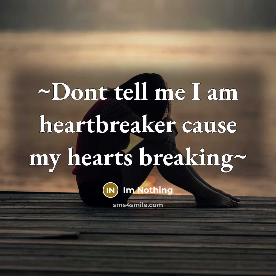 “~Dont tell me I am heartbreaker cause my hearts breaking~…” quote by Im Nothing